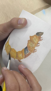 Aquarela na Cerâmica