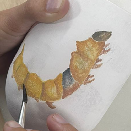 Aquarela na Cerâmica